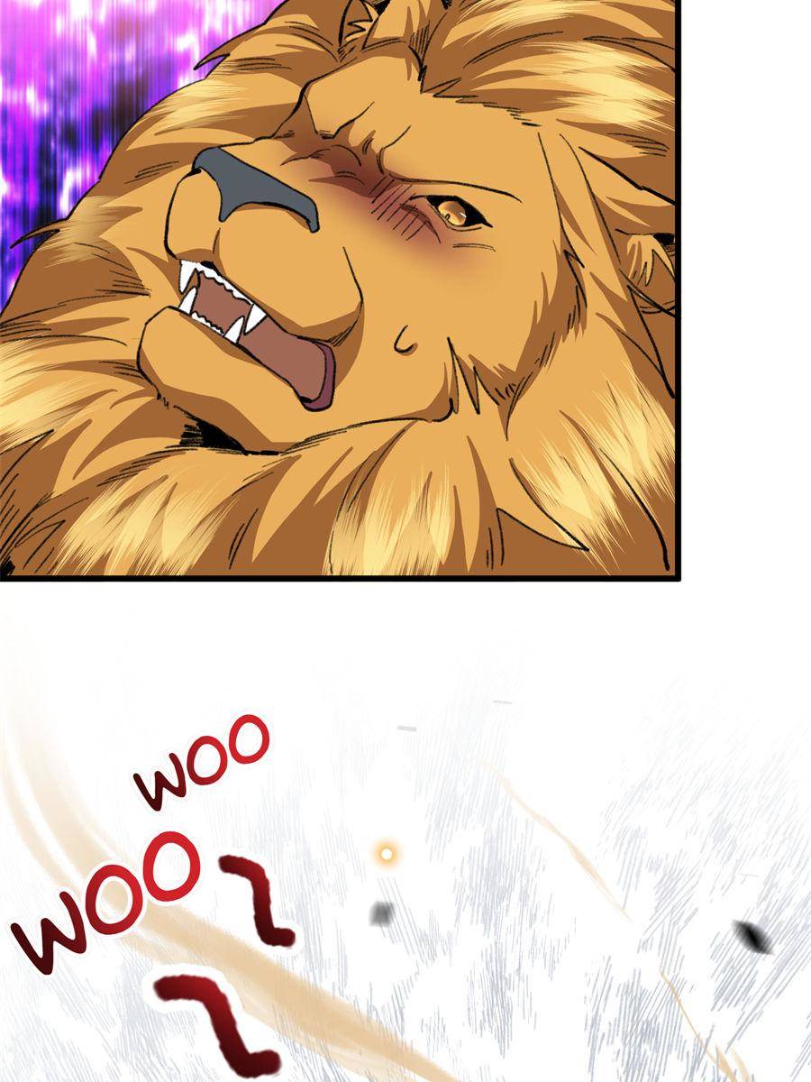 81490558 900 1200 122248