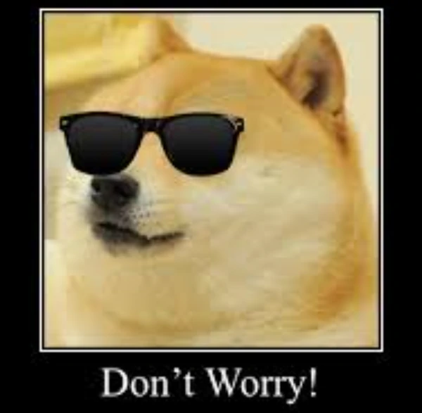 Dog Dog
